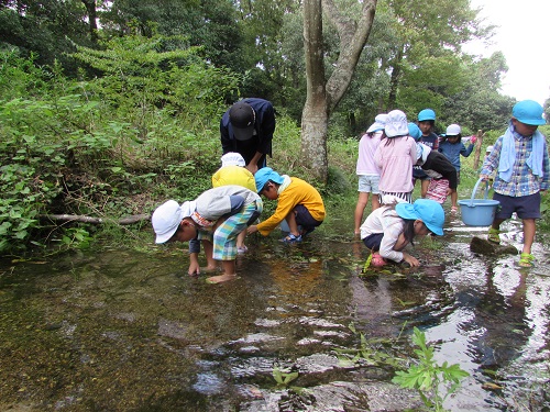 0829kanikani2.jpg