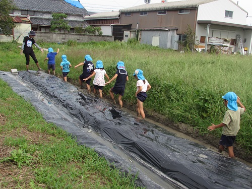180913hatake2.jpg