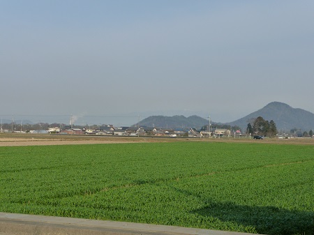 19032501.jpg