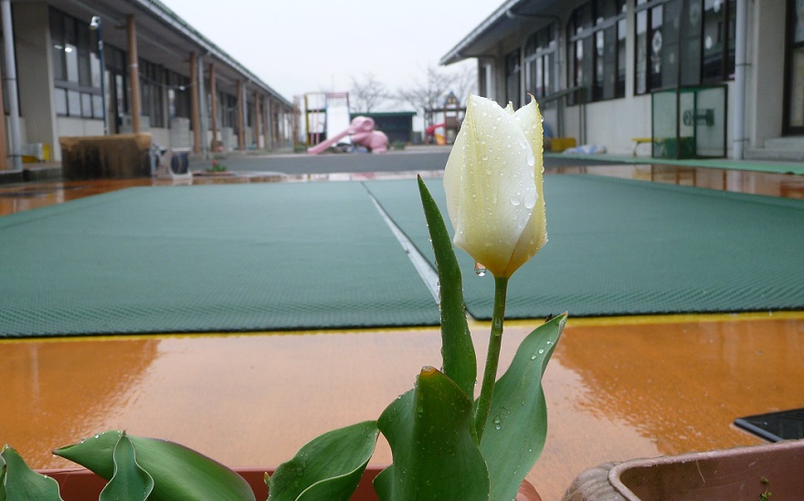 19033000.jpg