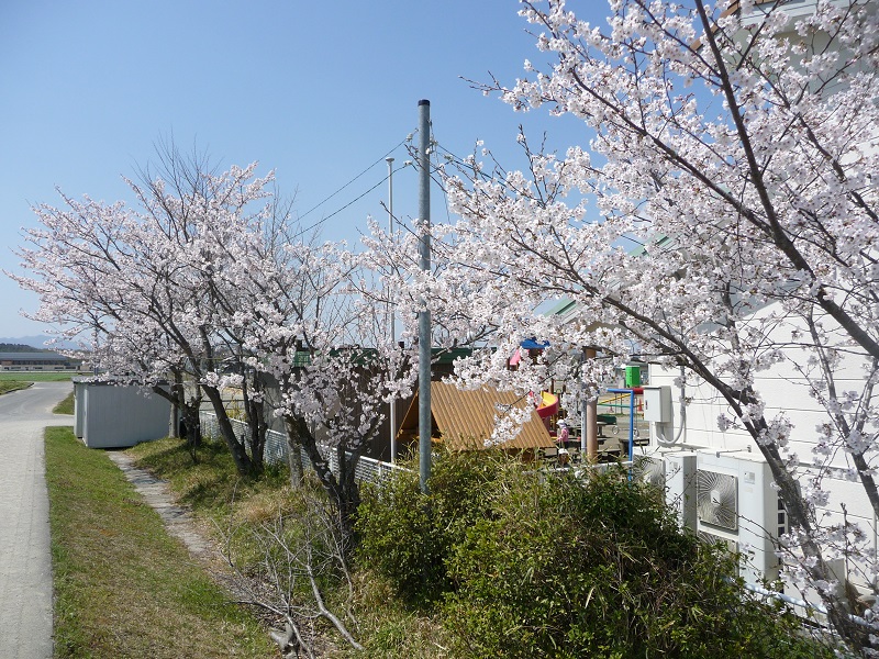 19040801.jpg