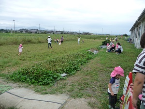 19091804.jpg