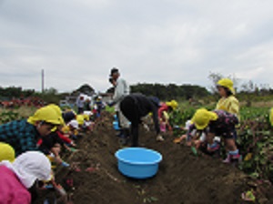 19101709.jpg