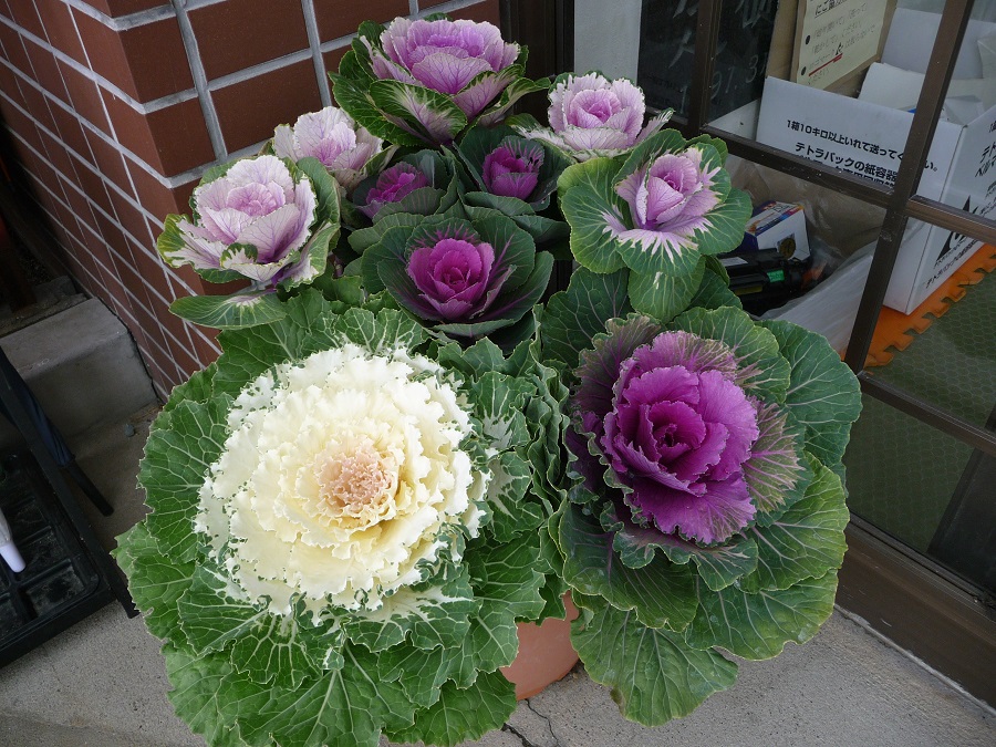 19120700.jpg