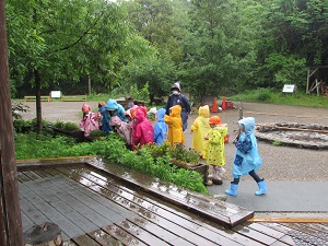 21051905.jpg
