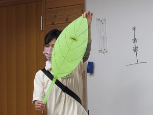 21051916.jpg