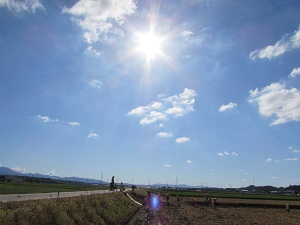 21101401.jpg