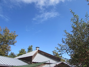 21102003.jpg