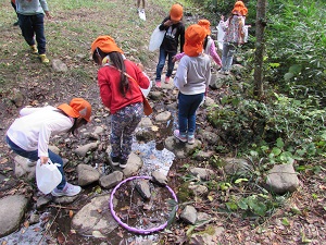 21102005.jpg