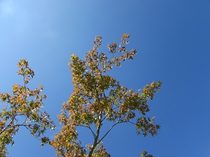 21103001.jpg
