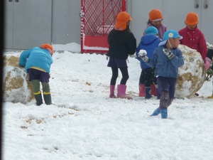 22011405.jpg