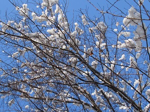 22011904.jpg
