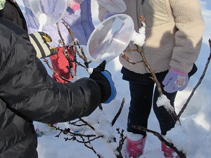 22011906.jpg