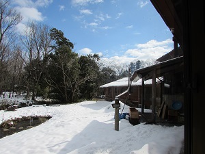 22011910.jpg
