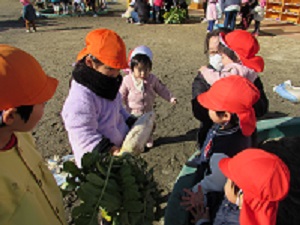 22012501.jpg
