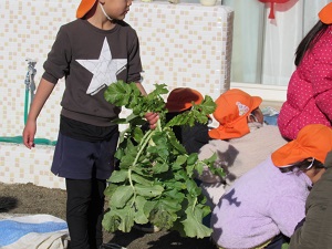 22012504.jpg