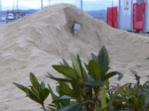 22020101.jpg
