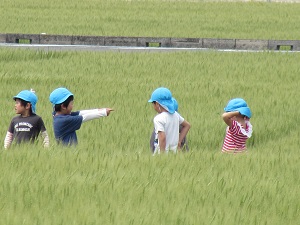 22050603.jpg