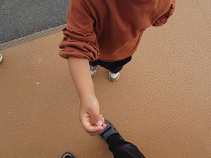 22051106.jpg