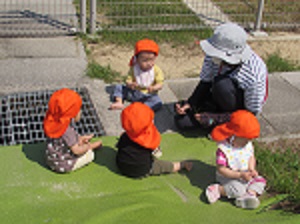 22052409.jpg