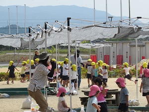 22061306.jpg