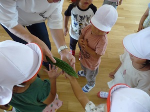 22070501.jpg