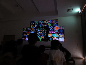 22071510.jpg