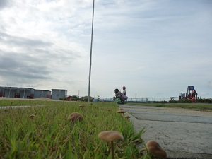 22072001.jpg