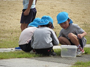 22092804.jpg