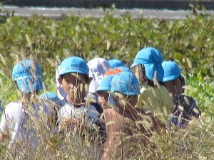 22102404.jpg