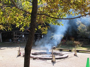 22110909.jpg