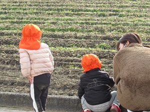 23011307.jpg