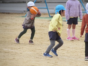 23011609.jpg