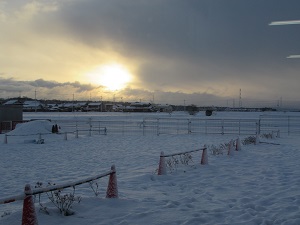 23012801.jpg