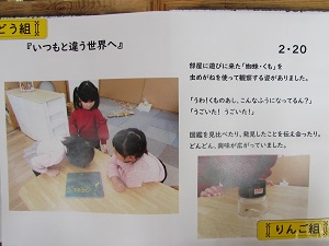23022102.jpg