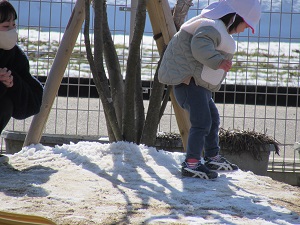 23022206.jpg