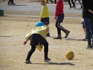 23031506.jpg