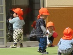 23041402.jpg