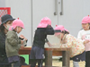 23042406.jpg