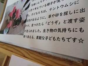 23051002.jpg