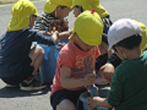 23051204.jpg