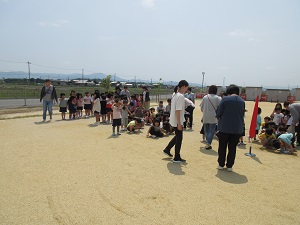 23052203.jpg