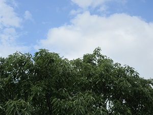 23052309.jpg