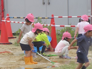 23053007.jpg