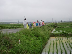 23061204.jpg