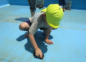 23062009.jpg