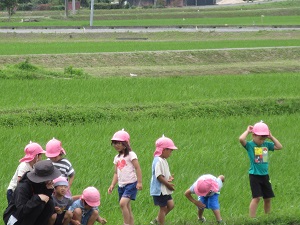 23062111.jpg