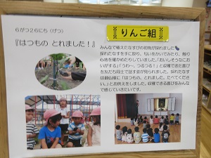 23062603.jpg