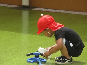 23062803.jpg