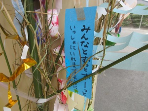 23070313.jpg